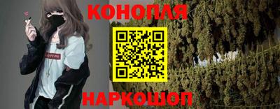 соль ск Будённовск