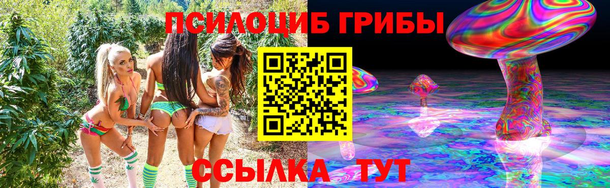 Псилоцибиновые грибы мицелий  где найти   Подольск  Псилоцибиновые грибы MAGIC MUSHROOMS  Вход с VPN 